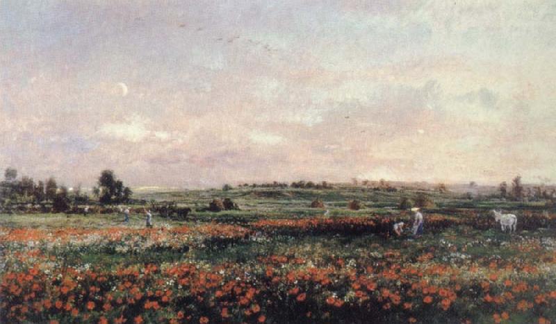 Charles Francois Daubigny Poppy Field France oil painting art
